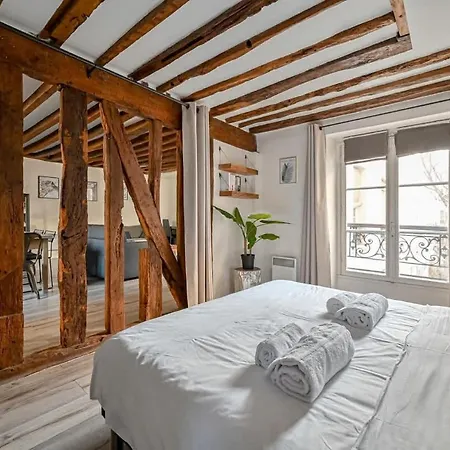 Grand 2 Pieces Typique Du Marais Apartment Paris